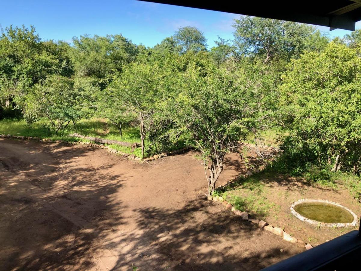Luxury Treetop Marloth Park