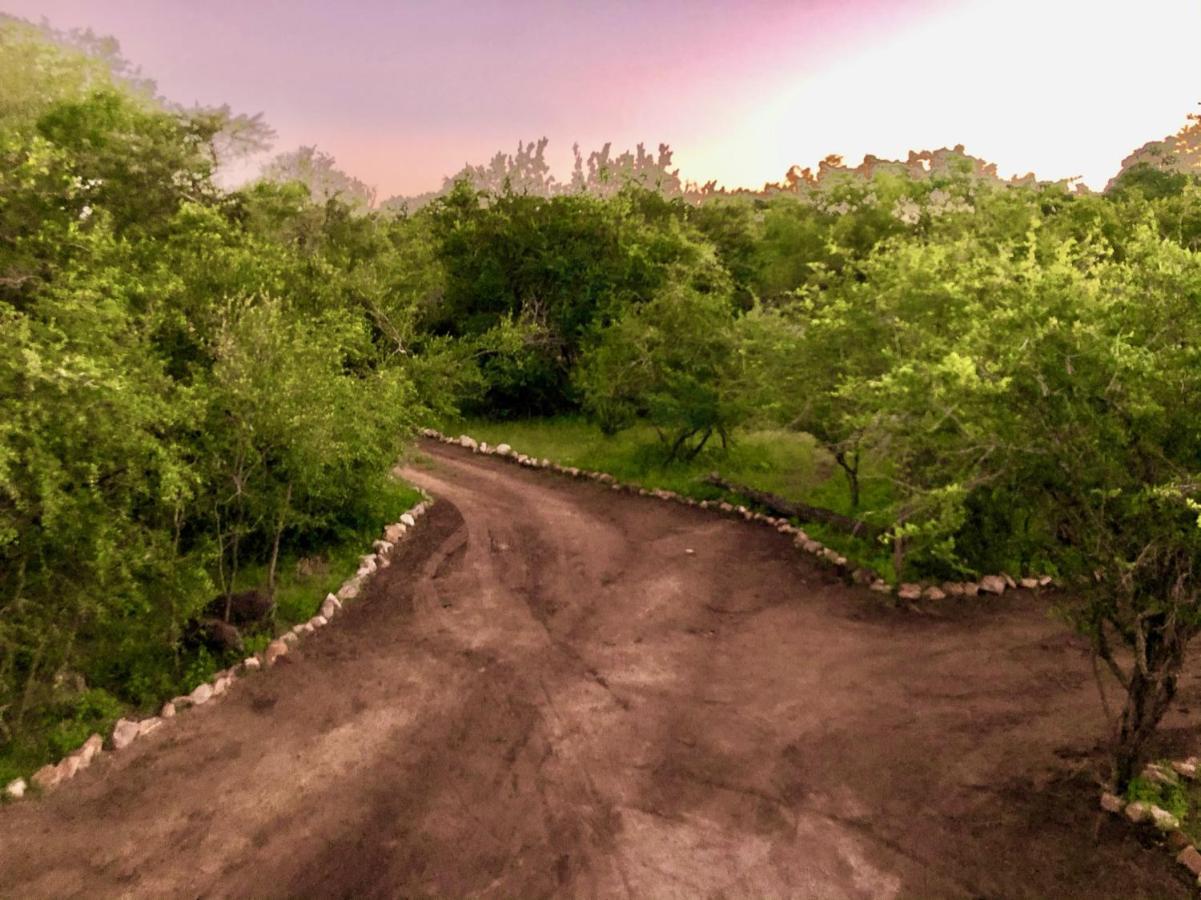 Villa Luxury Treetop Marloth Park